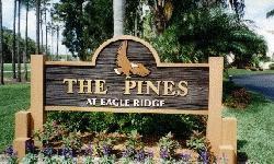 thepines.jpg (14999 bytes)