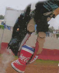 Draco Eats Anything!