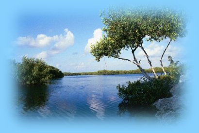 Florida Vacation Rentals - Blue Crab Key