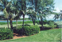 exterior-2.jpg (60309 bytes)