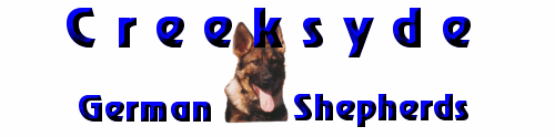 German Shepherd Dogs for sale