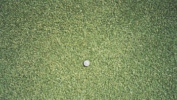 fig1.jpg (35538 bytes)