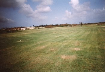 fig10.jpg (18223 bytes)