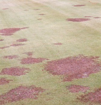 fig11.jpg (27526 bytes)