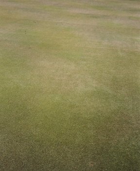 fig12.jpg (19538 bytes)