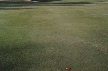 fig2.jpg (16546 bytes)