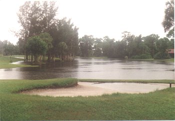 fig3.jpg (18034 bytes)