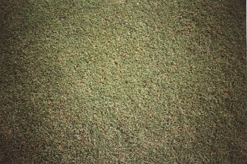 fig4.jpg (35560 bytes)