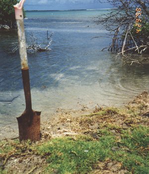 fig5.jpg (34426 bytes)