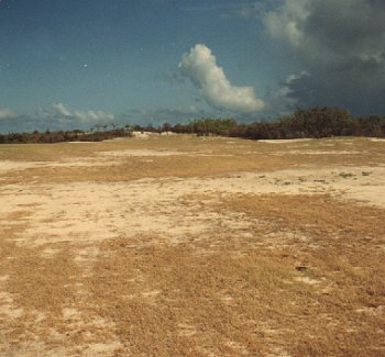 fig7.jpg (26514 bytes)