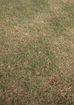 fig9b.jpg (12779 bytes)