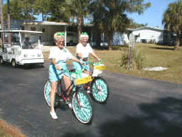 Image09.jpg (55030 bytes)