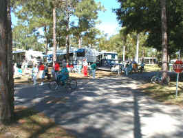 Image10.jpg (68679 bytes)