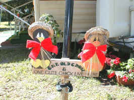 Image11.jpg (72517 bytes)